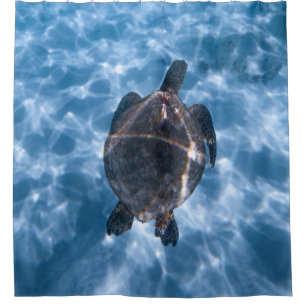 Rideaux De Douche Belle tortue aquatique Meilleur cadeau pour la v