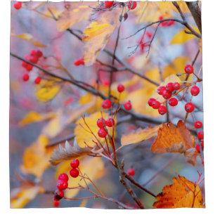 Rideaux De Douche Berry d'aubépine élégant en automne