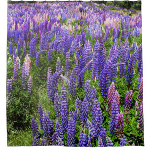 Rideaux De Douche Bluebonnets Blue Floral Texas Texan Elegant