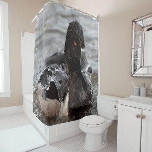 Rideaux De Douche Canard à bec cerclé