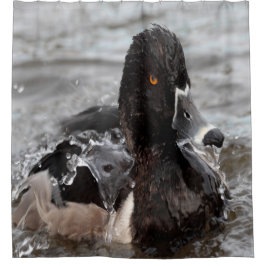 Rideaux De Douche Canard à bec cerclé