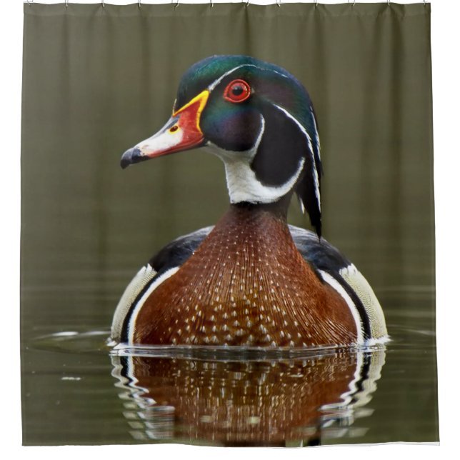 Rideaux De Douche Canard à bois sur l'eau (Devant)