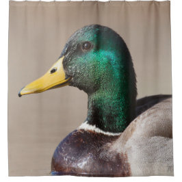Rideaux De Douche Canard colvert