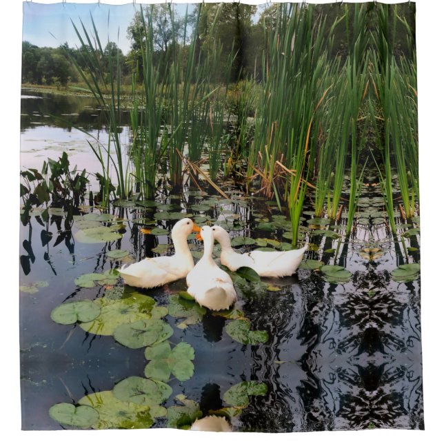 Rideaux De Douche Canards blancs, caleçons, cattails, lac (Devant)
