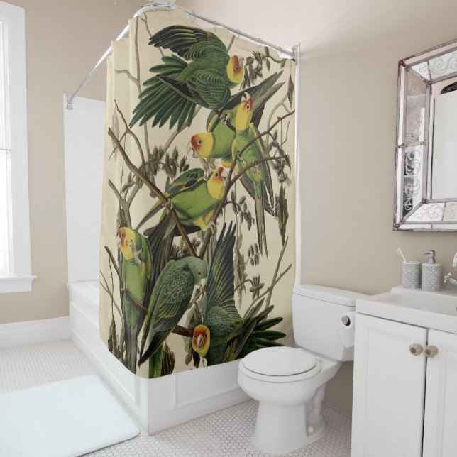 Rideaux De Douche Carolina Parrot de Audubon's Birds of America (En situation)