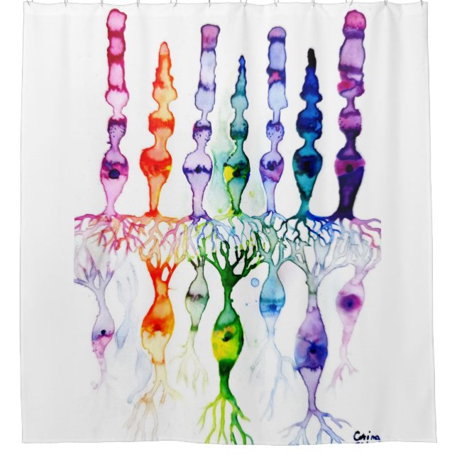Rideaux De Douche Cellules cônes cellules tiges et neurone bipolaire (Devant)