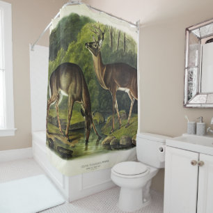 Rideaux De Douche Cerf de Virginie - Les Quadrupèdes d'Audubon
