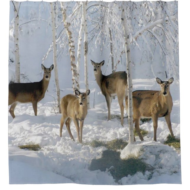 Rideaux De Douche Cerfs communs en hiver (Devant)