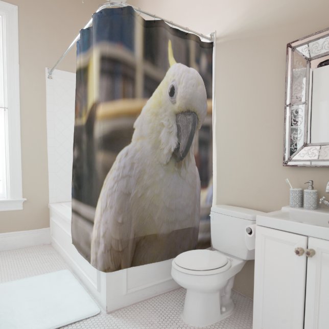 Rideaux De Douche C'est derrière moi...n'est-ce pas ? (En situation)