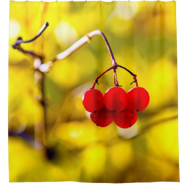 Rideaux De Douche Champion des baies Viburnum (Devant)