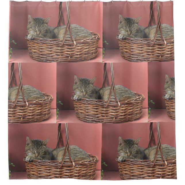 Rideaux De Douche Chat Dans Un Panier (Devant)