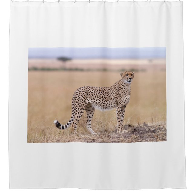 Rideaux De Douche Cheetah (Devant)