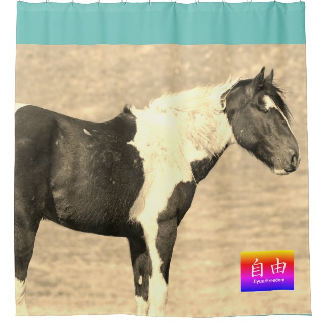RIDEAUX DE DOUCHE CHEVAUX SAUVAGES DE L'UTAH PINTO CUSTOM SHOWE CURT (Devant)
