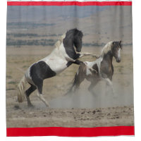 CHEVAUX SAUVAGES D'UTAH PINTOS COMBATTANT LE RIDEA