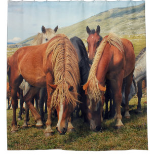 Rideaux De Douche Chevaux sauvages Vie Nature Scène