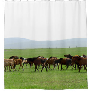 Rideaux De Douche Chevaux sur la prairie - Photographie du paysage
