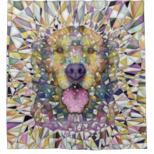 chien d'arc-en-ciel