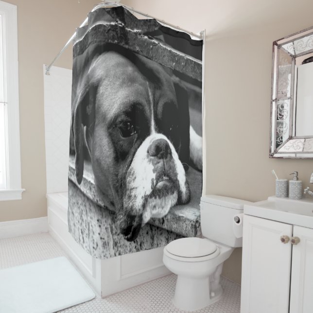 Rideaux De Douche Chien de boxe sur le rebord de fenêtre (En situation)