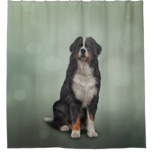 Rideaux De Douche Chien de montagne bernois