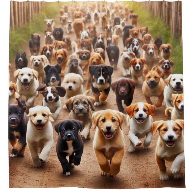 Rideaux De Douche Chiens (Devant)