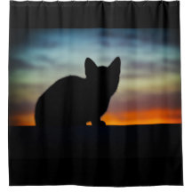 Ciel de coucher du soleil de silhouette de chaton