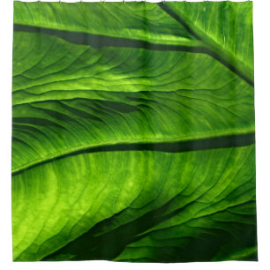 Rideaux De Douche Closeup photo of green leaf