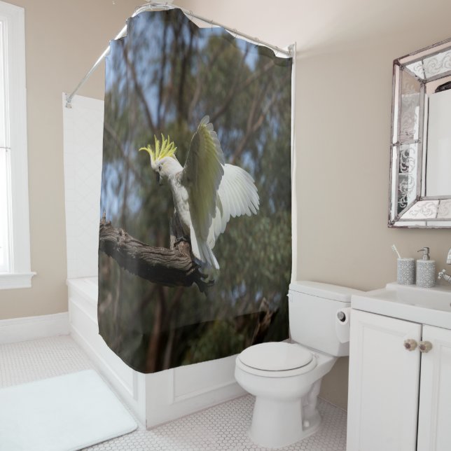 Rideaux De Douche Cockatoo Oiseau Parrot Étalant Ailes Australie (En situation)