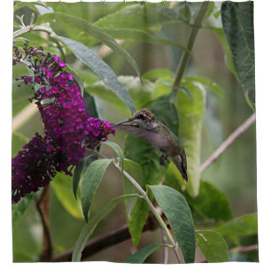 Rideaux De Douche Colibri