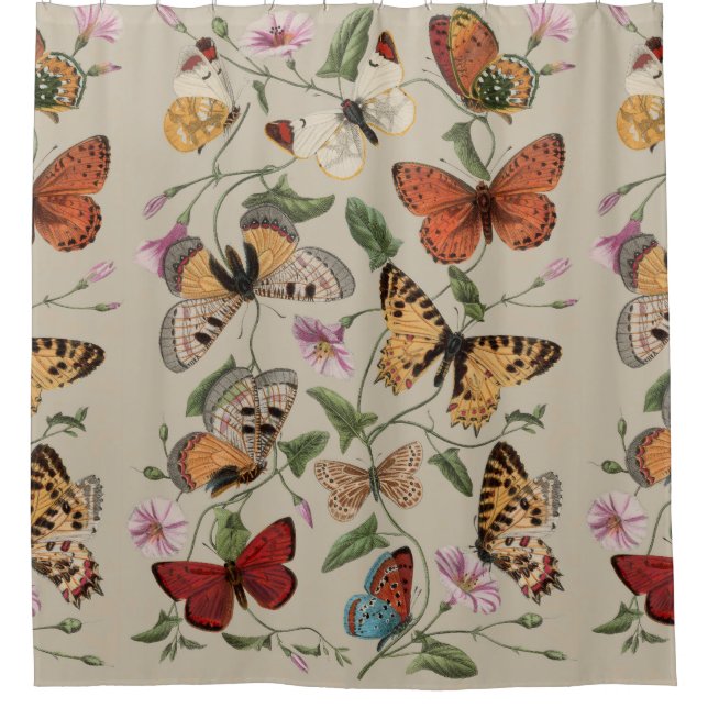 Rideaux De Douche Collection de la papillon Moth Nature Dessin (Devant)