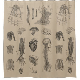 Rideaux De Douche Copie vintage d'anatomie