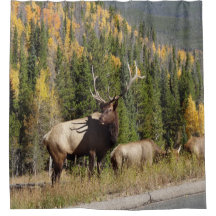 Coureur d'Elk Shower