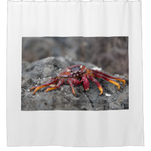 Rideaux De Douche Crabe rouge