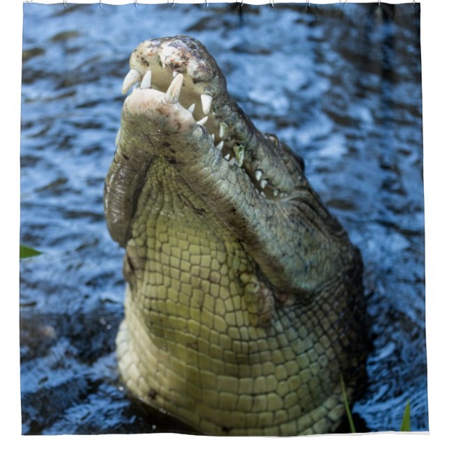 Rideaux De Douche Crocodile Dents Eau (Devant)