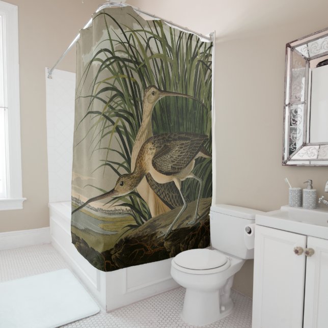 Rideaux De Douche Curlew from Audubon's Birds of America (En situation)