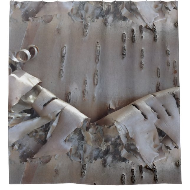 Rideaux De Douche Curly Birch Bark Tree Rustic (Devant)