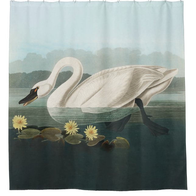 Rideaux De Douche cygne audubon cygnes d'eau blanche (Devant)