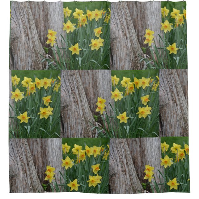 Rideaux De Douche Daffodiques du printemps (Devant)