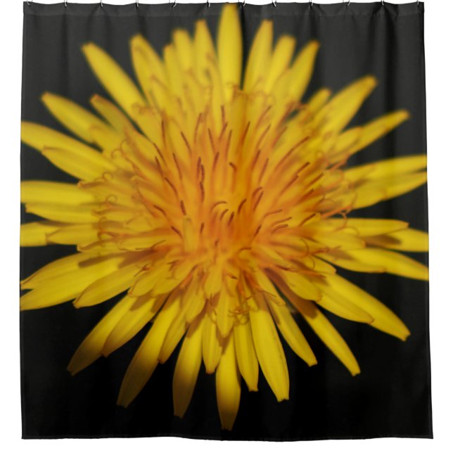 Rideaux De Douche Dandelion Flower sccna (Devant)