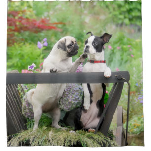 Rideaux De Douche Deux chiens par chiot carlin et Boston Terrier dan