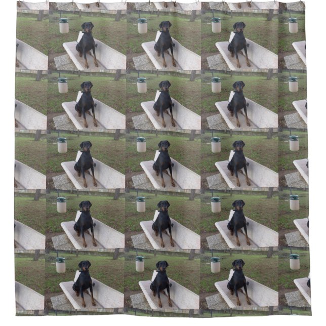 Rideaux De Douche doberman pinting (Devant)