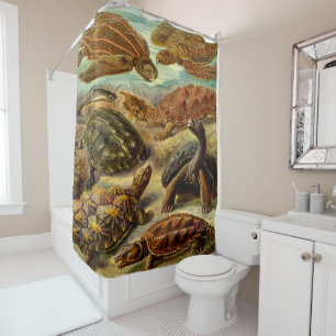 Rideaux De Douche Ernst Haeckel Art Imprimer : Chelonia