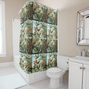 Rideaux De Douche Ernst Haeckel Hummingbirds - Les formes artistique
