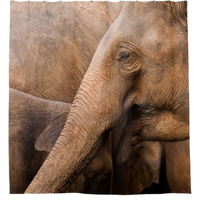 Rideaux De Douche Famille des éléphants : Faune majestueuse (Devant)