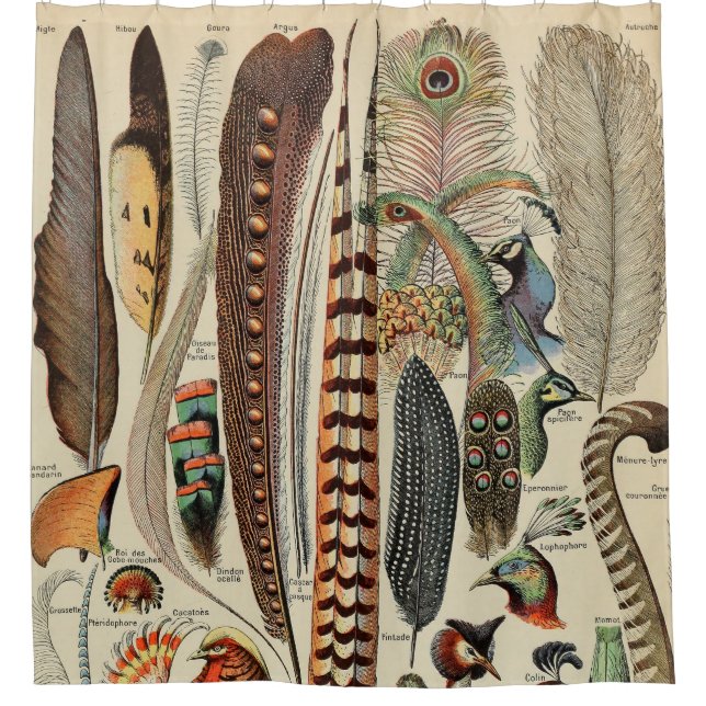 Rideaux De Douche Feather Bird Wildlife Plumes d'antiquités (Devant)