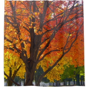 Rideaux De Douche Feuilles d'automne de la photo jaune et orange