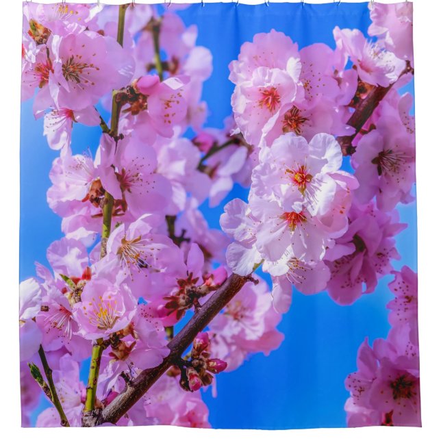Rideaux De Douche Fleurs japonaises de cerises 13 (Devant)