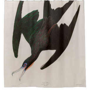Rideaux De Douche Frigate Pelican Birds of America Audubon Imprimer