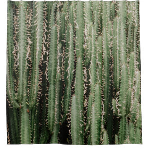 Rideaux De Douche Gros plan du plante de cactus vert