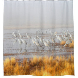 Rideaux De Douche Grues brumeuses de Sandhill