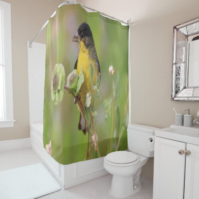Rideaux De Douche Homme Goldfinch perché sur des fleurs (En situation)